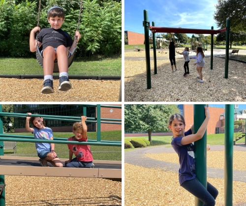 playground collage wood chips- smaller not for article.png